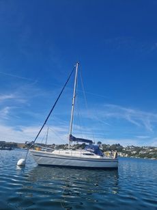 Sadler 26 Solitude
