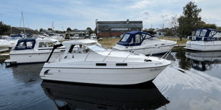 Shadow 26
