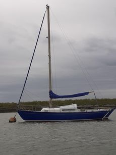 Invicta 26