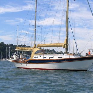 Classic Golden Hind 31