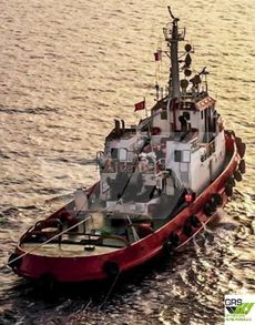 36m / 30ts BP Tug for Sale / #1144697