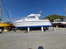 RODMAN 900 FLY