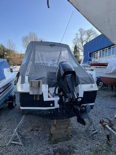 Spectrum 480 Pilothose 2018