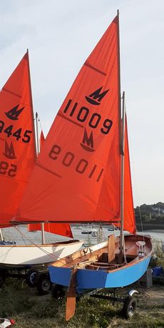 MIRROR DINGHY 55762 (11009 Sail No: )