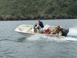 1993 Boston Whaler Montauk 17