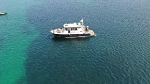 2008 Botnia Targa 31