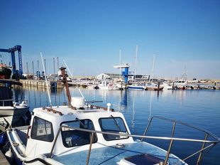 Colvic Seaworker 22 