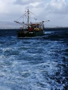Mussel Dredger Trawler  Irish Reg ,Excellent condition throughout