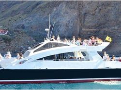 2013 Custom Built Catamaran