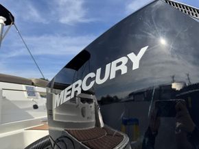 2019 Bayliner  VR6 Cuddy 14