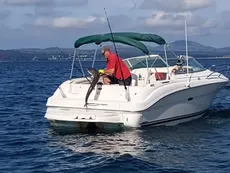 2001 Sea Ray 225 Weekender