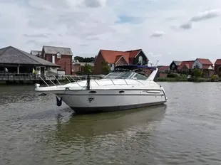 Maxum 3000 Scr