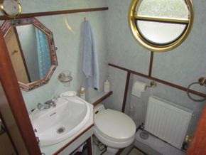 Shower room toilet
