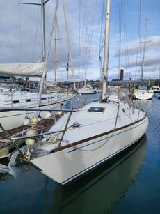 Carter 37 'Irish Mist'