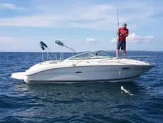 2001 Sea Ray 225 Weekender