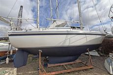1979 Contest 32 CS