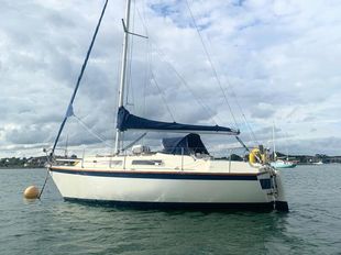 WESTERLY MERLIN beautiful example, well presented.