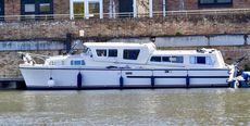 Elysian 34