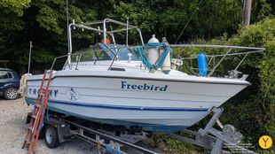 1993 Bayliner Trophy Walkaround 2102