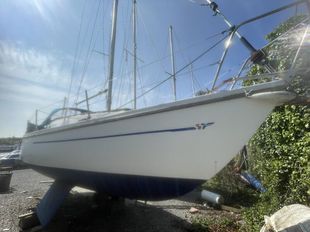 SADLER 26 BK