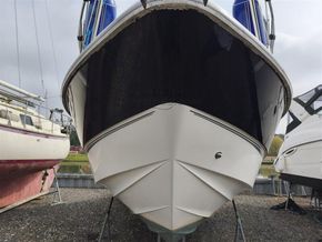 Fairline Targa 29  - Bow