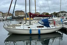 1969 Wing 25
