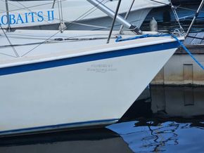 Formula 28  - Bow