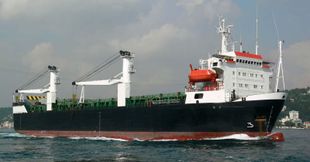 349' GEARED HEAVY LIFT RORO VESSEL