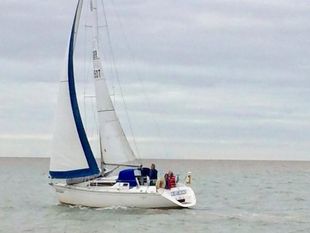 1990 Jeanneau Sun Light 31
