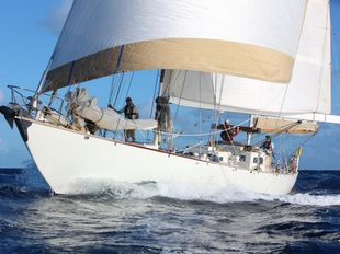 Robert Clark 72' 'Zenara'