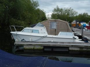 Dolphin 22