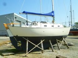 Victoria 26