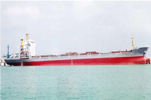 98m 292 TEU Cargo Container Ship