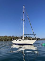 Contessa 32 Inara “Daughter of the Storm”
