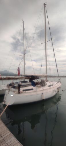 Moody 36 cc