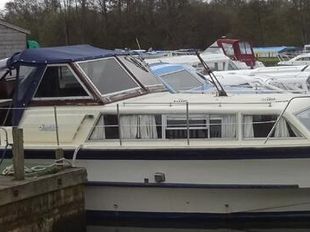 Birchwood 33