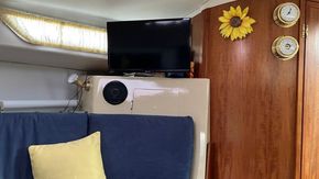 Thumbnail IMG 4610