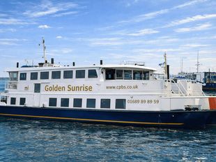 Residential Amazing Passenger Ferry to Convert