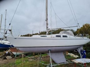 Ready for sale Nov 2024