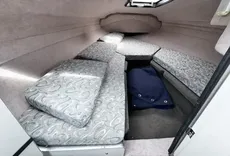 1998 Bayliner 2052 Capri Cuddy