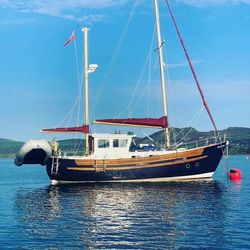 Fisher 30- Quick Sale