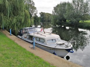 Freeman 26 - Ratty
