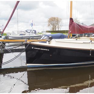 CORNISH SHRIMPER 21