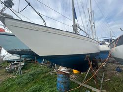 1969 Twister 28