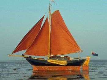 Rare Bedebreke Schokker in UK