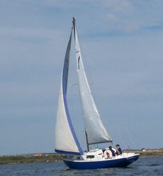 Wing 25 classic sailing yacht