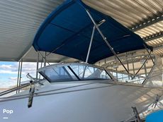 1992 Sea Ray 350 Express Bridge