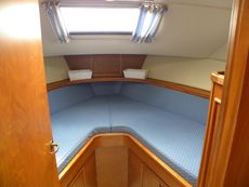 Haines 335