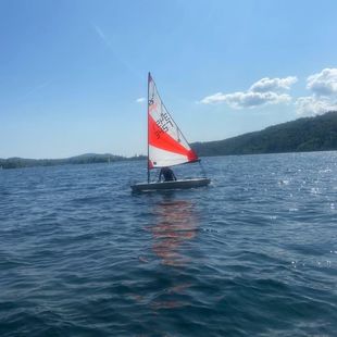 RS Tera Sailing Boat+Trailer, Race Ready