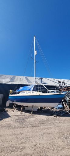 Dolly Blue 27' Caravela